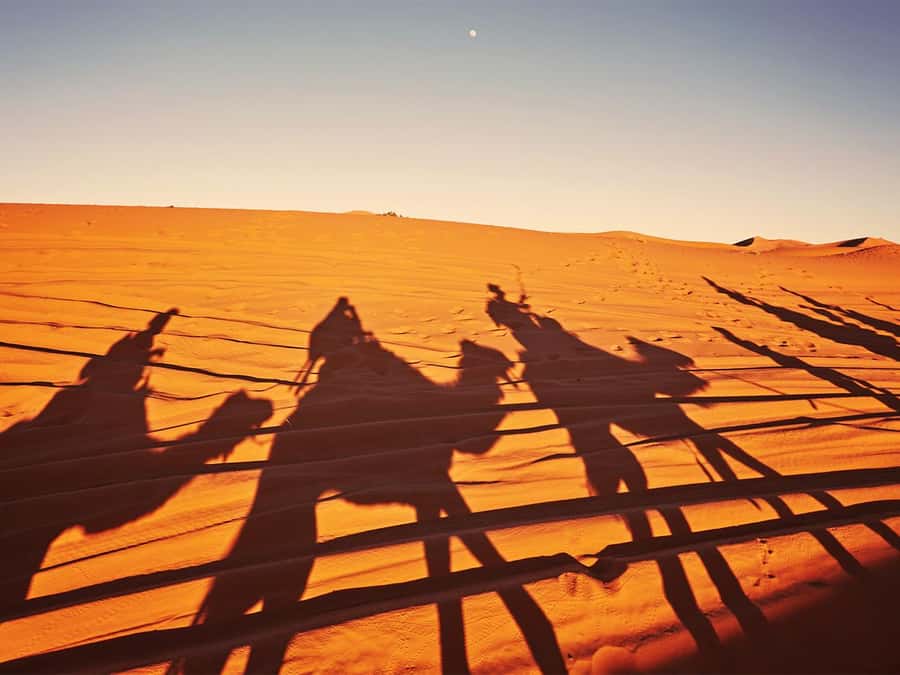Hurghada: 6-Hour Jeep Desert Safari, Dinner, and Show - Hurghada Hotel Pickup and the 6-Hour Timing That Matters