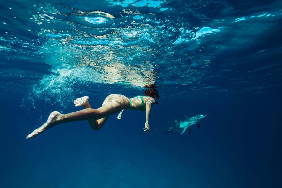 Hurghada: All-Inclusive Elite VIP Dolphin House & Massage - Snorkeling plan: three reef stops and instructor help that matters