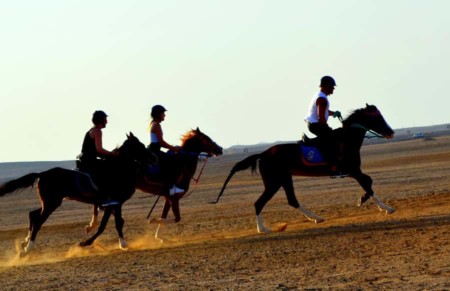 Hurghada: Arabian Desert and Sea Horseback Adventure - How the ride actually works: stable warmup, skill groups, and helmet rules