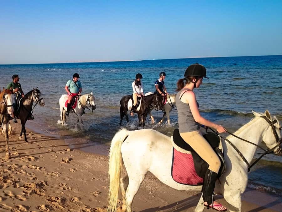 Hurghada: Arabian Desert and Sea Horseback Adventure - Sunrise mood vs sunset mood: timing changes everything