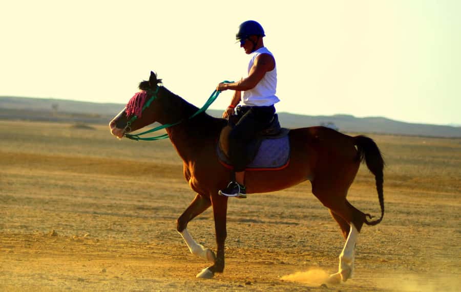 Hurghada: Arabian Desert and Sea Horseback Adventure - VIP 4-hour ride with swim stop: the big “yes” moment