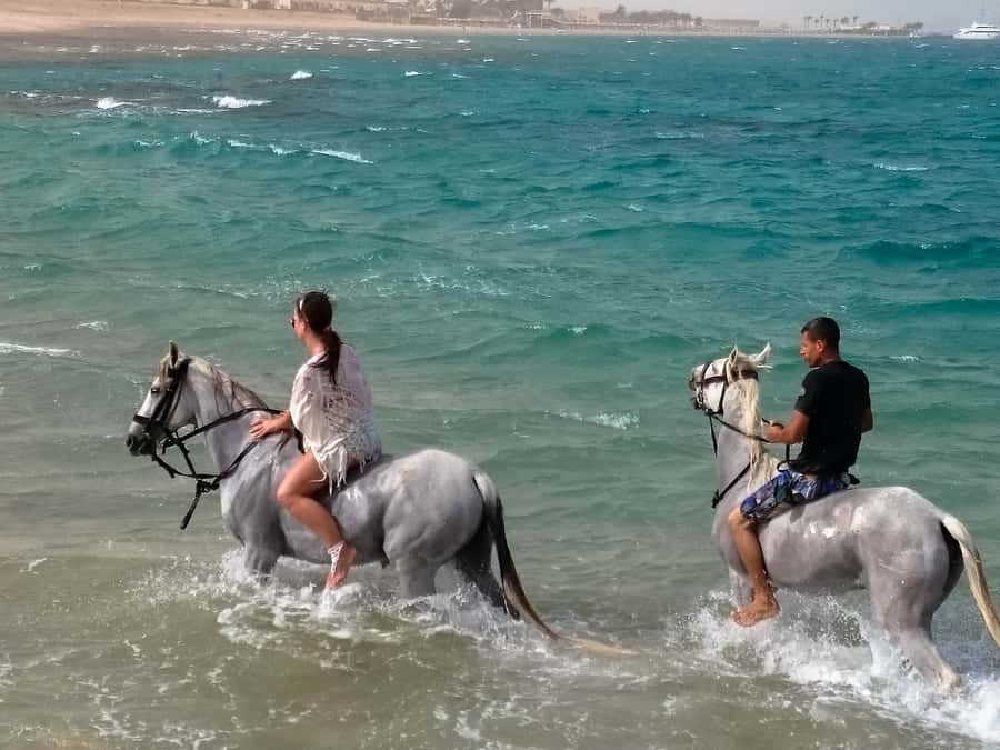 Hurghada: Arabian Desert and Sea Horseback Adventure - Logistics that affect comfort: hotel pickup times and travel distance
