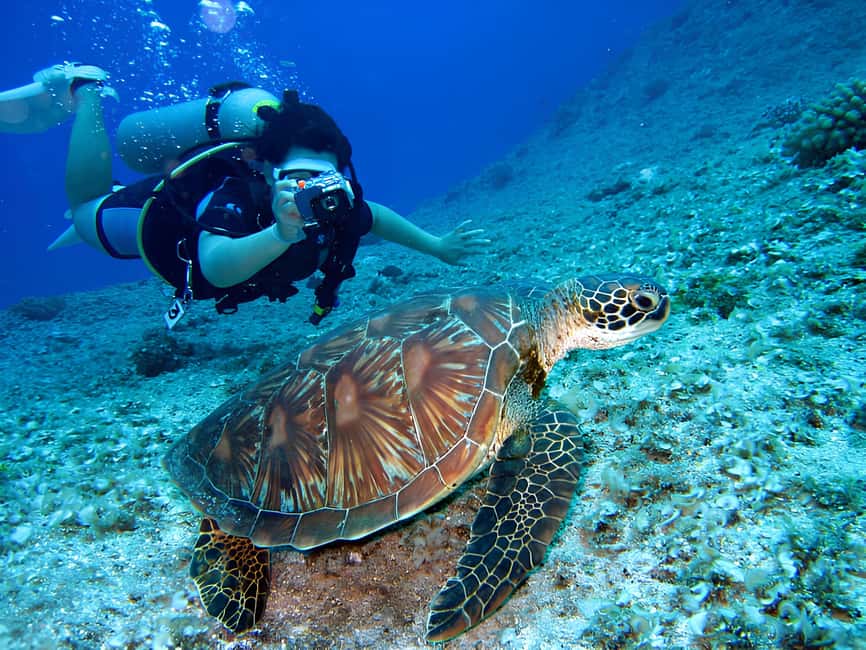 Hurghada: Beginners Scuba Diving Full-Day Boat Trip & Lunch - What you’ll actually do between the sea stops