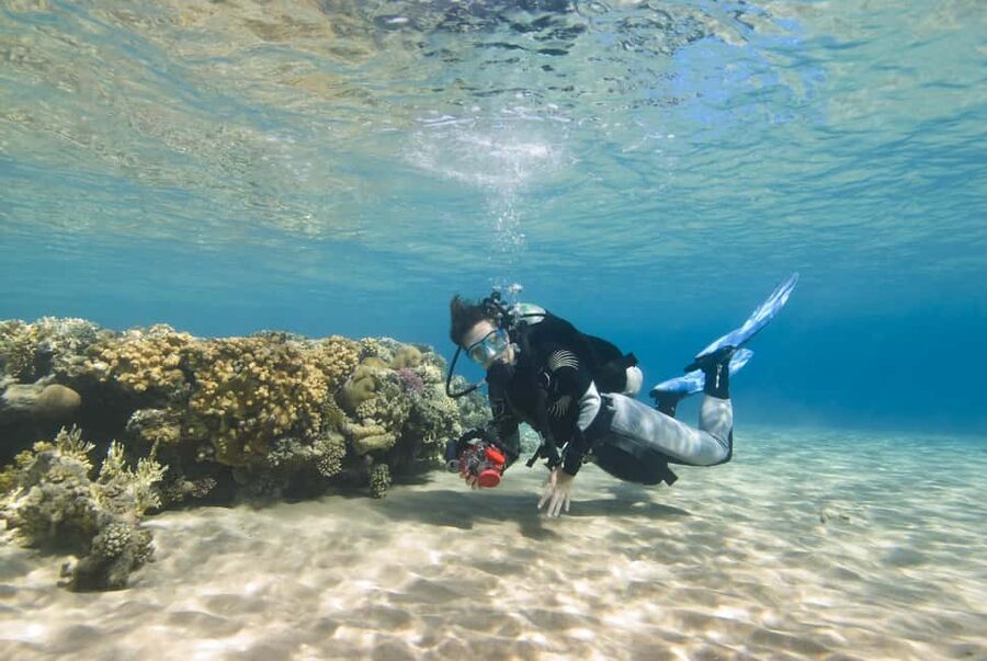 Hurghada: Beginners Scuba Diving Full-Day Boat Trip & Lunch - Who this trip suits, and who should skip it
