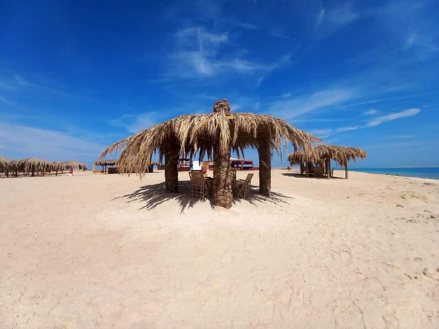 Hurghada: Boat trip to Magawish island with Multi Options - Snorkeling around coral reefs, with real guidance