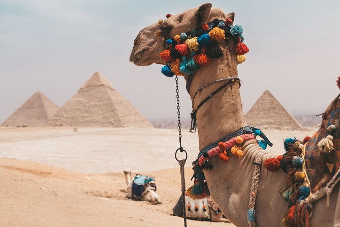 Hurghada: Cairo and Giza Highlights by mini Van with BBQ Lunch - Egyptian Museum in Tahrir Square, how to use your one hour