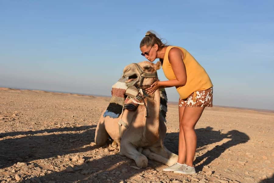 Hurghada: Camel Ride & horse ride and Off-Road Jeep Tour - First stop: Arabian tea, dates, and the desert game plan