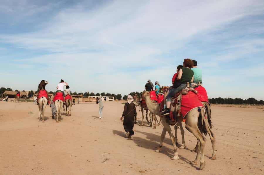 Hurghada: Camel Ride & horse ride and Off-Road Jeep Tour - Who this tour is best for