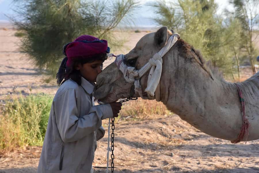 Hurghada: Camel Ride & horse ride and Off-Road Jeep Tour - Jeep time and dune bashing: fun, fast, and a bit jolty