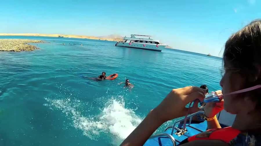 Hurghada: Day Snorkeling with Dolphins - In-water stops and how the day is structured