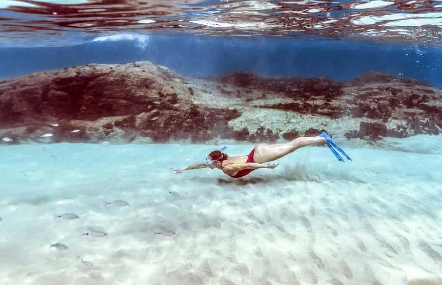 Hurghada: Day Snorkeling with Dolphins - Snorkeling gear, language help, and how support shows up