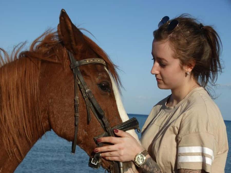 Hurghada: Desert and Sea Horseback Riding Tour with Transfer - Key highlights worth knowing before you go