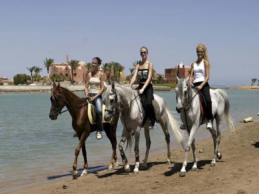 Hurghada: Desert and Sea Horseback Riding Tour with Transfer - Practical tips so your ride feels easy from the start