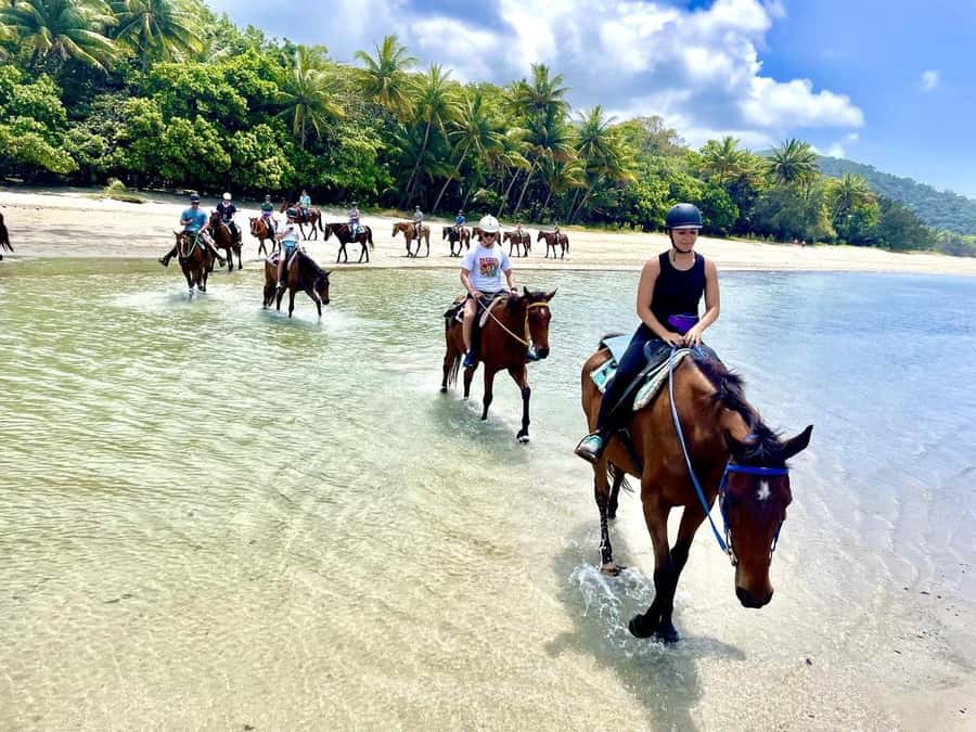 Hurghada: Desert and Sea Horseback Riding Tour with Transfer - Desert pace, Red Sea payoff, and why this tour works