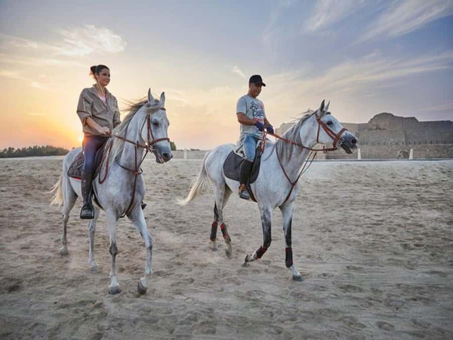Hurghada: Desert and Sea Horseback Riding Tour with Transfer - Safety briefing and horse matching, the part that makes or breaks it