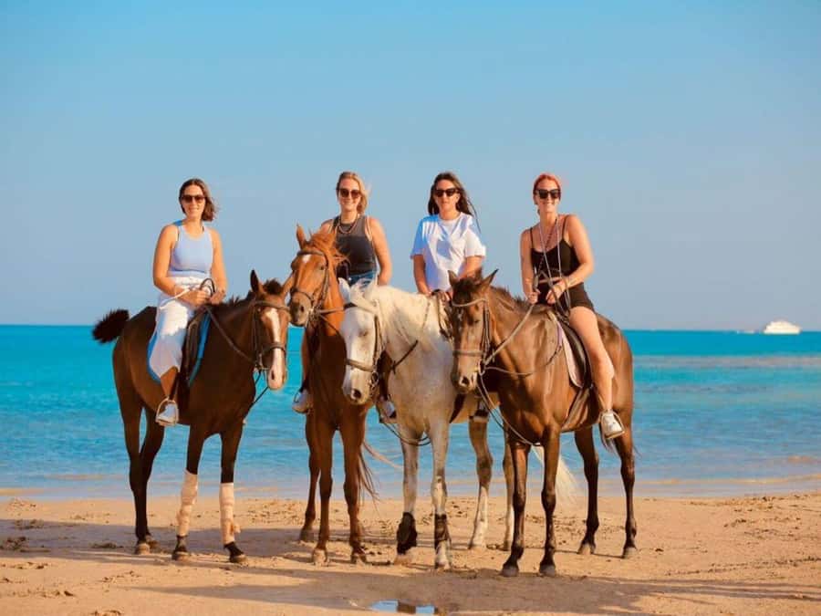 Hurghada: Desert and Sea Horseback Riding Tour with Transfer - Drinks, photos, and the calm landing back at the stables