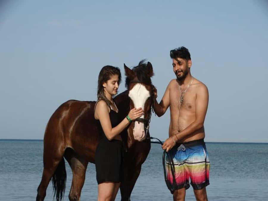 Hurghada: Desert and Sea Horseback Riding Tour with Transfer - Who this tour suits best, and who might not love it