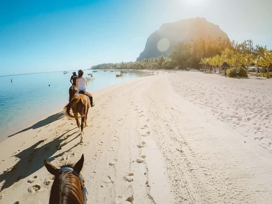 Hurghada: Desert and Sea Horseback Riding Tour with Transfer - Getting from your Hurghada hotel to the stable, fast and simple