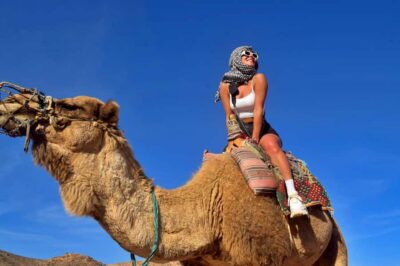 Desert Quad, Bedouin Village, and Camel Ride Tour