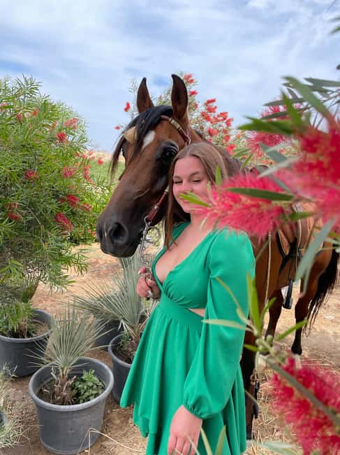 Hurghada: Desert & Sea Horse Riding with + 360° Photos - Key things I’d focus on before booking