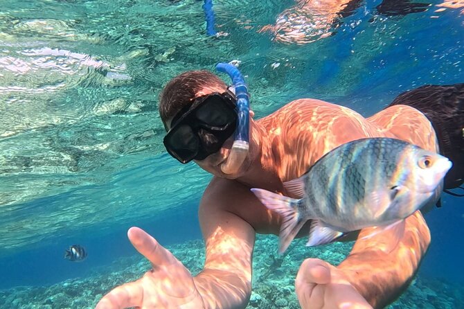 Hurghada Diving Adventure one Day with two Dives Boat Trip - Getting Ready: Pickup, Gear Choices, and What’s Included