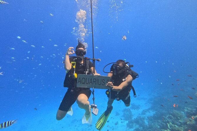 Hurghada Diving Adventure one Day with two Dives Boat Trip - Logistics and Expectations: Weather, Group Dynamics, and Timing