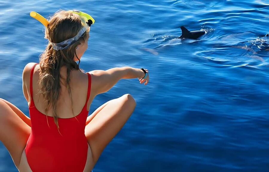 Hurghada: Dolphin Cruise with Snorkeling & Buffet Lunch - Two snorkeling stops on coral reefs, how the guided time helps
