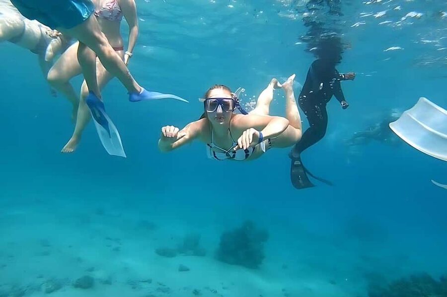 Hurghada: Dolphin Cruise with Snorkeling & Buffet Lunch - Price and value at about $26 per person