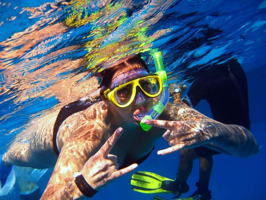 Hurghada: Dolphin watch Cruise with optional pickup - Transfers, Meeting Point, and Getting There Like a Pro