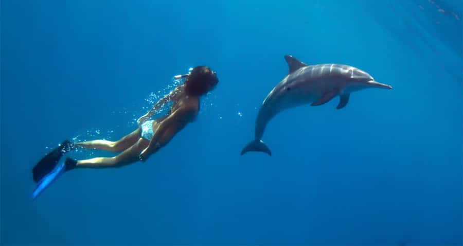 Hurghada: Dolphin watch Cruise with optional pickup - Who This Hurghada Cruise Fits Best, and Who Should Skip It