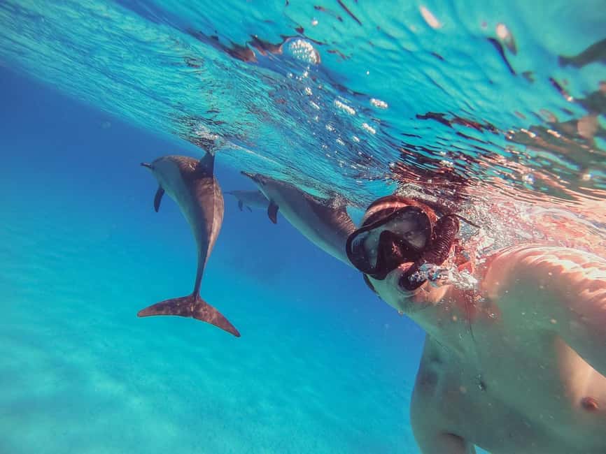 Hurghada: Dolphin Watching Boat Tour with Snorkeling & Lunch - Quick hits before you go
