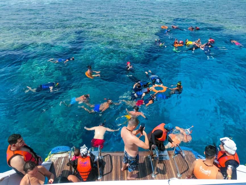 Hurghada: Dolphin Watching Boat Tour with Snorkeling & Lunch - Lunch onboard and the in-water extras you may get