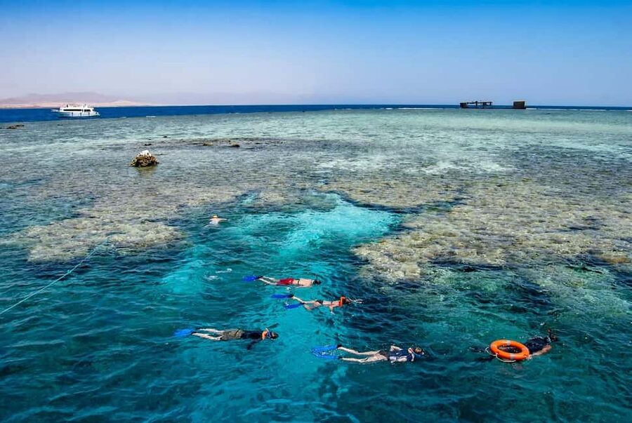 Hurghada: Dolphin Watching Boat Tour with Snorkeling & Lunch - Price and what $25 really buys you in Hurghada