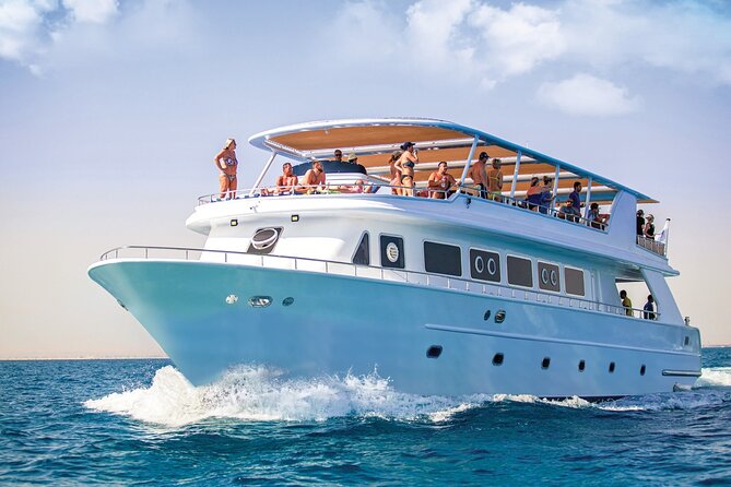 Hurghada: Dolphin World Show with Walruses and Pickup - Skip the Ticket Line, Then Get Set Up for Great Seats