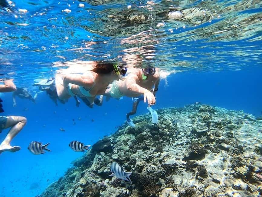 Hurghada: Eden Island Day Trip with Water Sports and Lunch - Sabina Reef snorkeling, gear included and what to look for