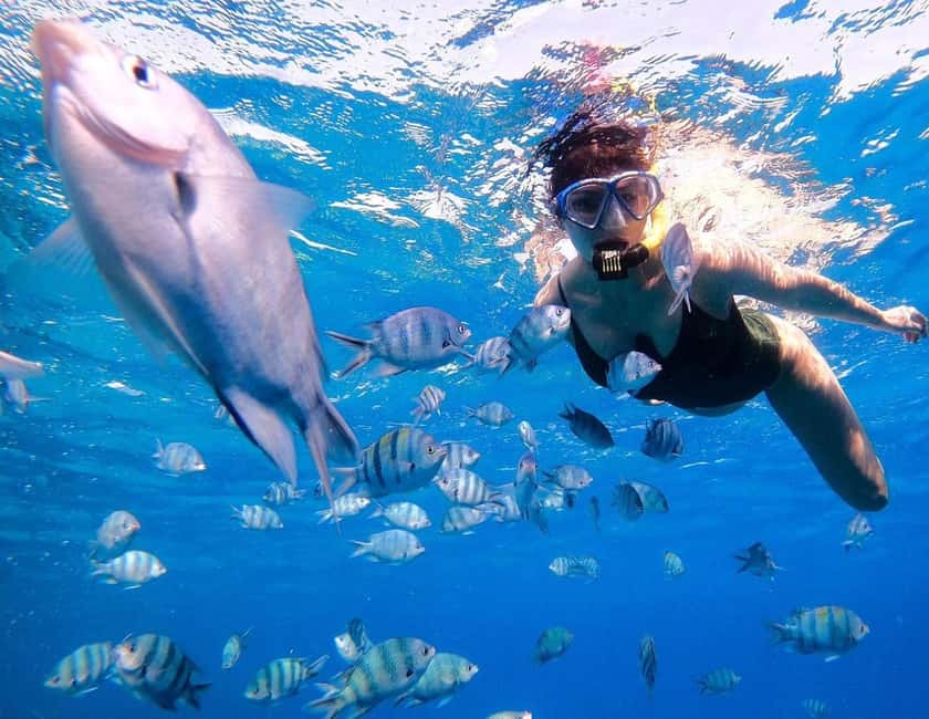Hurghada:Eden Island Full-Day Trip with Water sports & Lunch - Key things I’d clock before you go