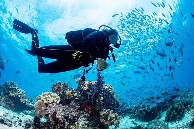 Hurghada: Full-Day Diving Tour with Lunch & Two Dive Sites - Key Highlights You’ll Care About