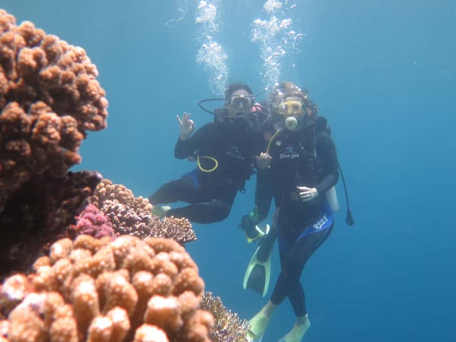 Hurghada: Full-Day Scuba Diving Tour with 2 Sites and Lunch - From hotel pickup to safety briefing, how the day actually flows