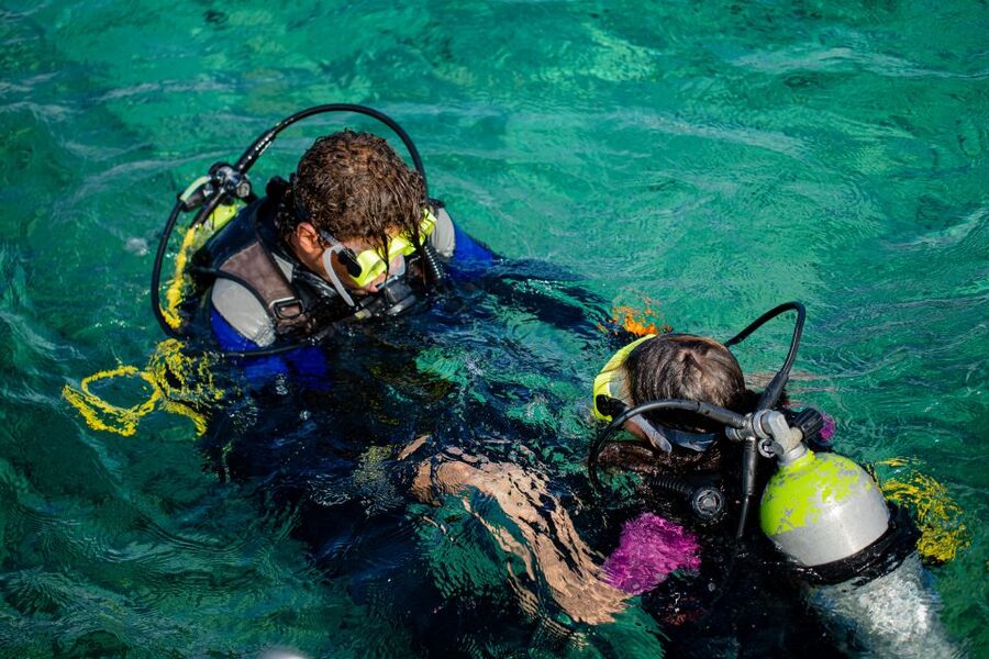 Hurghada: Full-Day Scuba Diving Tour with 2 Sites and Lunch - Meet the instructors: patient coaching makes or breaks your day