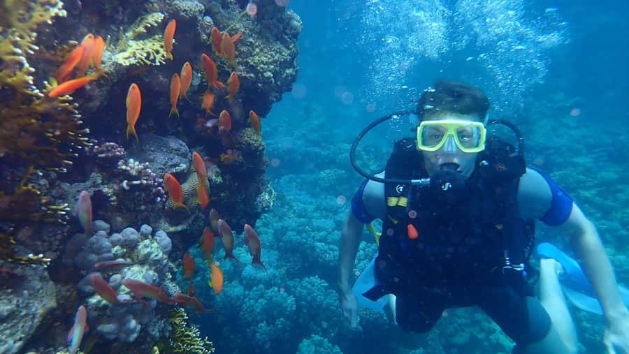 Hurghada: Full-Day Scuba Diving Tour with 2 Sites and Lunch - Equipment, photos, and what you should expect for your first time