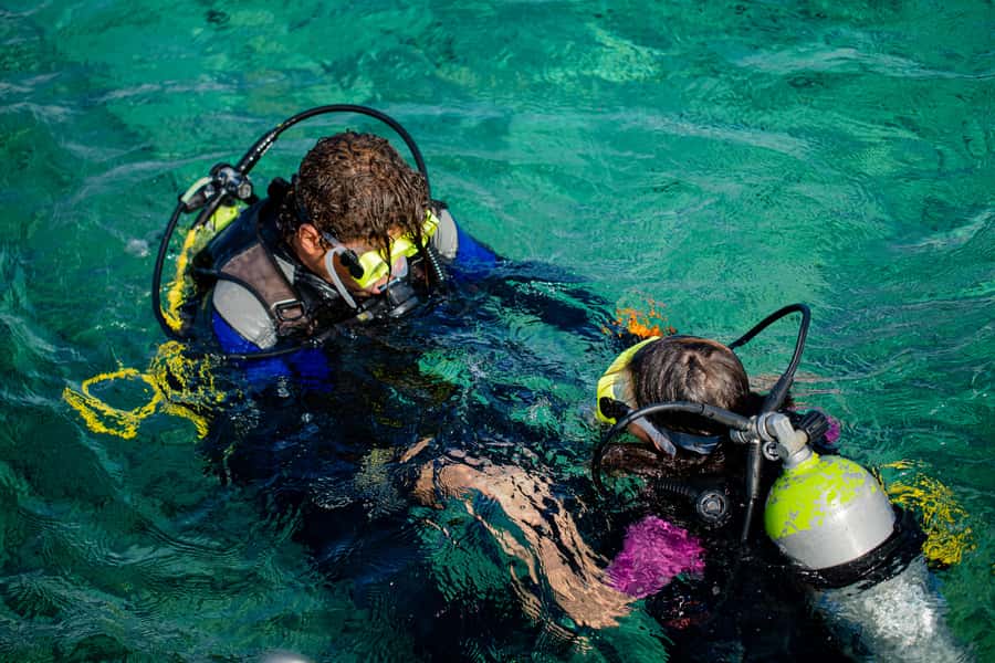 Hurghada: Full-Day Scuba Diving Tour with 2 Sites and Lunch - Who should book this experience, and who should skip it
