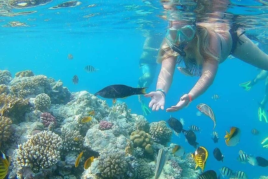 Hurghada: Full-Day Snorkeling Tour in Sharm El Naga w/Lunch - Price and value: is $75 per person fair?