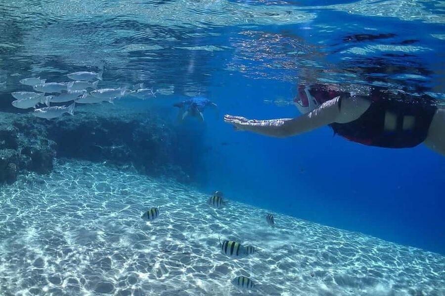 Hurghada: Full-Day Snorkeling Tour in Sharm El Naga w/Lunch - Practical packing and on-the-day tips that actually help