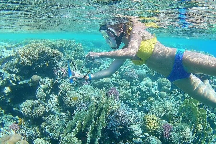 Hurghada: Full-Day Snorkeling Tour in Sharm El Naga w/Lunch - Should you book Hurghada to Sharm El Naga for full-day snorkeling?