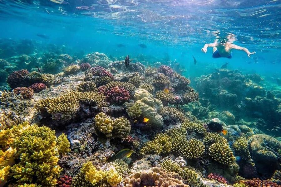Hurghada: Full-Day Snorkeling Tour in Sharm El Naga w/Lunch - FAQ