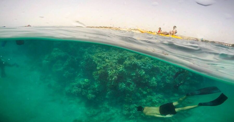 Hurghada: Full-Day Snorkeling Tour in Sharm El Naga w/Lunch - Reef condition and noise, the two factors that can change your day