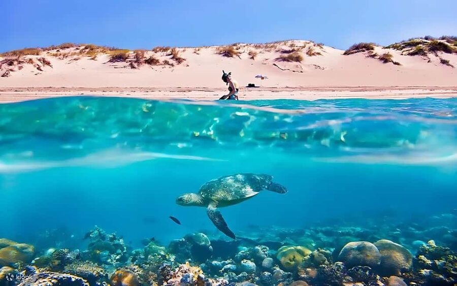 Hurghada: Giftun Island with breakfast, lunch & Water Sports - Key takeaways before you go