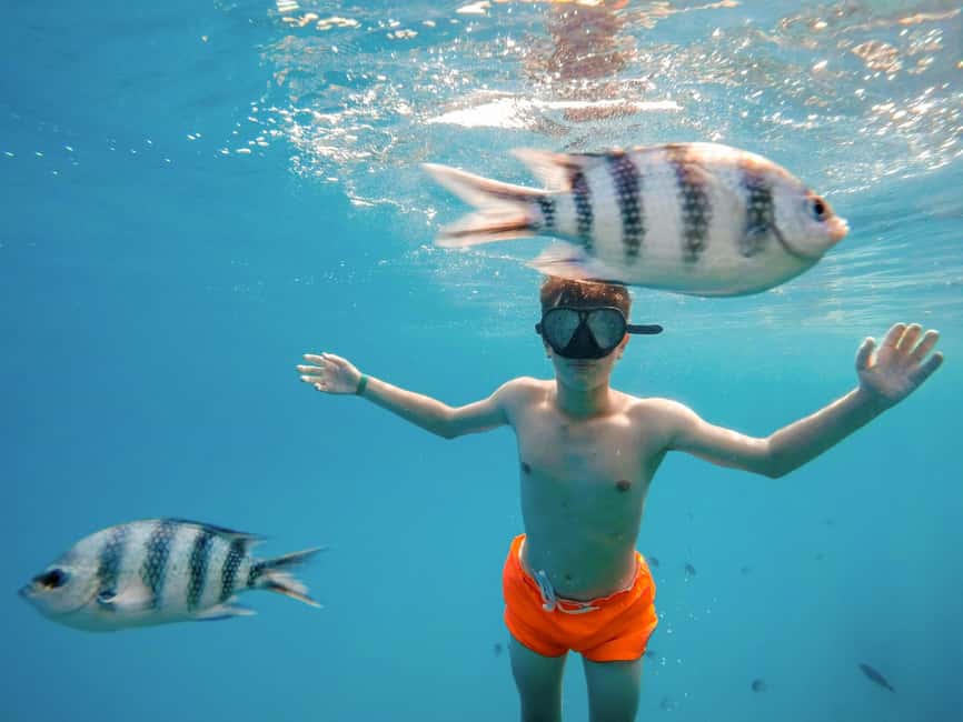 Hurghada: Glass Boat & Snorkeling with Optional Parasailing - Price and Value: Is $18 Per Person a Good Deal?