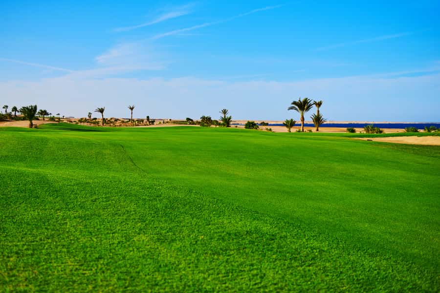 Hurghada: Golfing at the Madinat Makadi Golf Resort - Price and value: is $74 a smart golf buy?