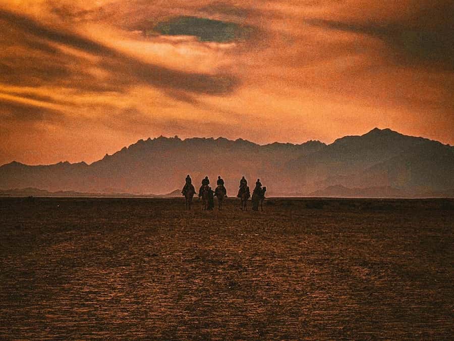 Hurghada: Hiking , dinner & stargazing - Sunset timing and dinner at camp, where the sky show begins